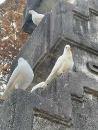 “หนานจิง” (南京) เมืองประวัติศาสตร์