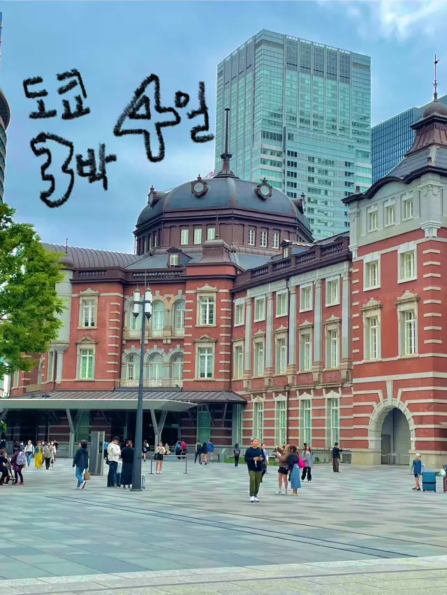 한국인에게 인기 스폿 위주의 도쿄 3박4일 일정 공개 ⛲️🇯🇵🎋