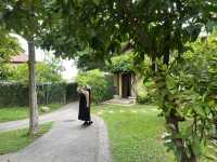 Nora beach resort ที่พักกลางสมุย ธรรมชาติสุดๆ