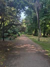 Bute Park (Cardiff)