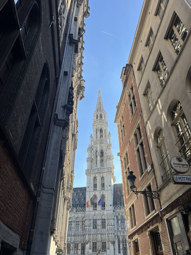 🇧🇪 比利時:布魯塞爾大廣場(Grand-Place) ✨ 🇧🇪 比利時:布魯塞爾大廣場(Grand-Place) ✨