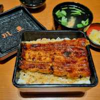 Tokyo adventure - perfect start and finish at the airports