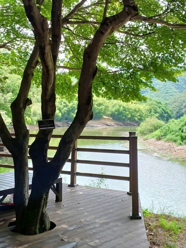 문화와 여유가 공존하는 길
