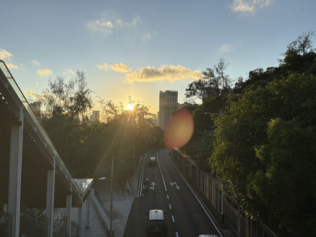 🇲🇴澳門氹仔區 🇲🇴澳門氹仔區