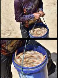 สดกว่านี้ไม่มีอึกแล้ว ตลาดปลาทะเล ตากใบ