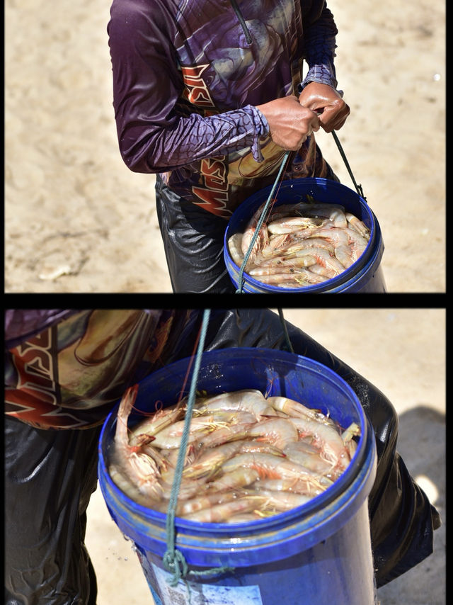 สดกว่านี้ไม่มีอึกแล้ว ตลาดปลาทะเล ตากใบ สดกว่านี้ไม่มีอึกแล้ว ตลาดปลาทะเล ตากใบ