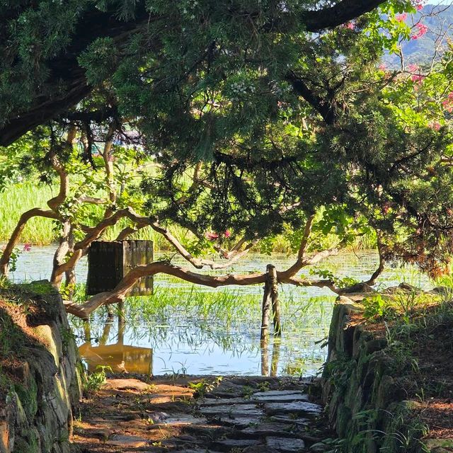 경주 서출지(Seochulji Pond, 西出池) 경주 서출지(Seochulji Pond, 西出池)