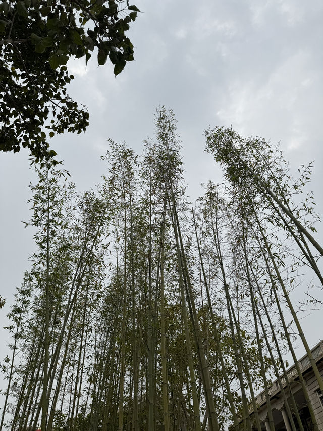 晉江梧林古村漫遊指南