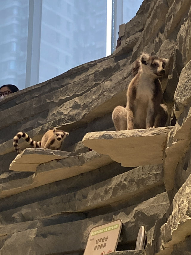 Shanghai Natural History Museum 🦖🦕🐘🦌🦒🦏🦥