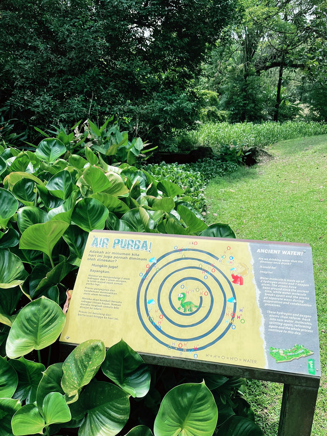Perdana Botanical Lake: Serene Insta-Worthy Escape with Blossoming Lotus Flowers