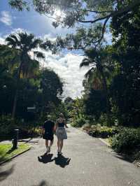 My Stroll Through Royal Botanical Gardens Sydney