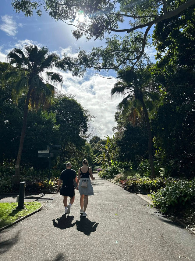 My Stroll Through Royal Botanical Gardens Sydney