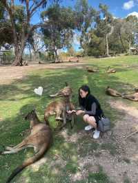 ครบทุกฟีลในวันเดียวที่ Melbourne ☕🦪🐨