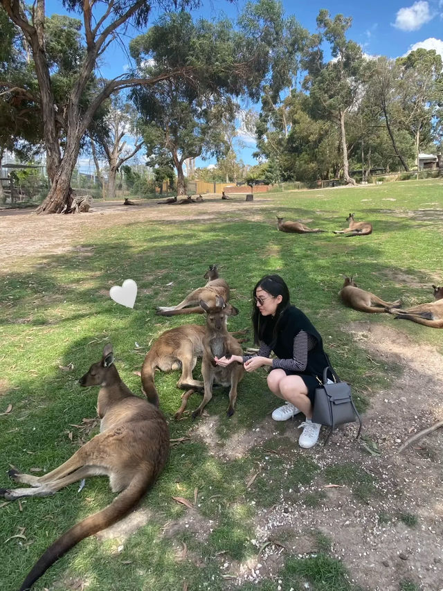 ครบทุกฟีลในวันเดียวที่ Melbourne ☕🦪🐨