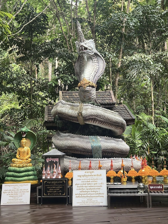 ไหว้ปู่ภุชงค์นาคาธิบดี แม่ออน 
