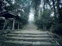仙台・亀岡八幡宮｜石鳥居と長い石段が語る歴史と自然のパワースポット