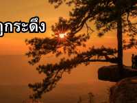 เลย