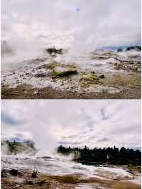 【新西蘭北島】波胡圖間歇泉（Pohutu Geyser）：震撼的自然奇觀，感受地熱的力量