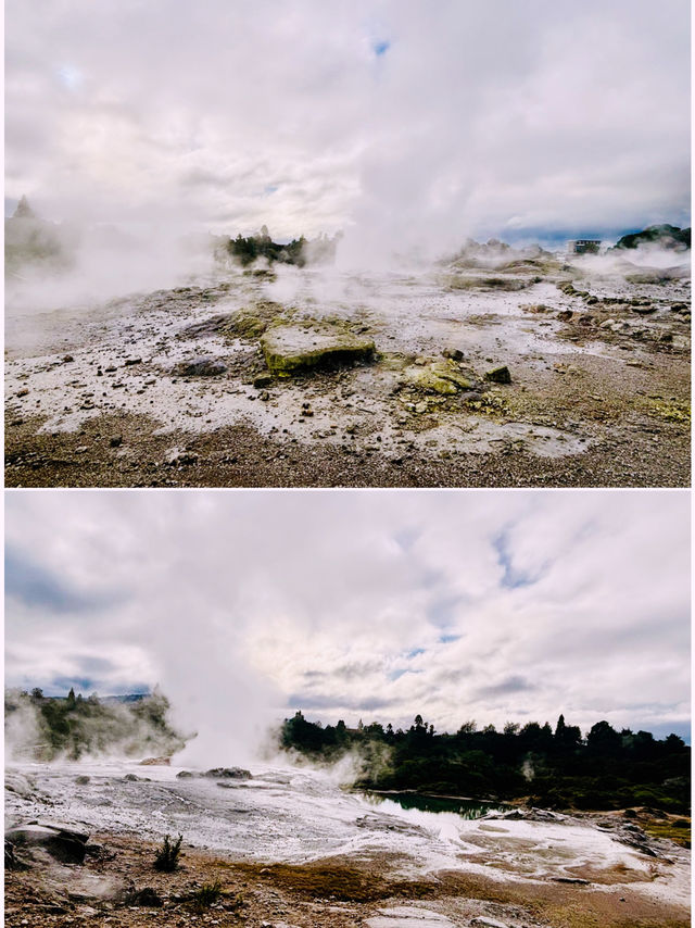 【新西蘭北島】波胡圖間歇泉（Pohutu Geyser）：震撼的自然奇觀，感受地熱的力量