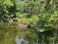Jardins de la Petite Afrique