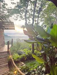 峇里島秘境竹屋住體驗🌿｜睡在原始森林看日出