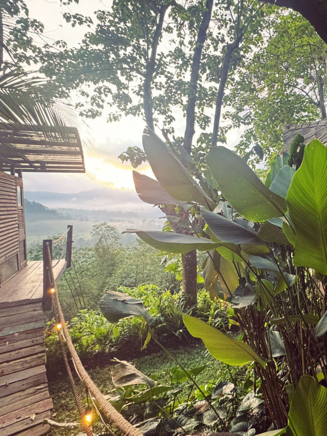 峇里島秘境竹屋住體驗🌿｜睡在原始森林看日出