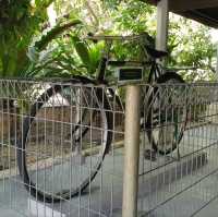 The Birthplace of Tun Dr Mahathir Mohammad
