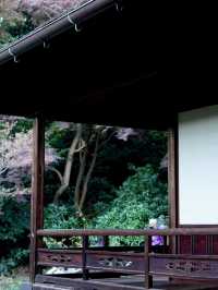 横浜にいながら古都の風情を感じられます！