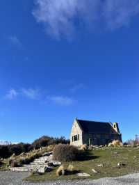 瓦納卡之樹打卡靚景🌳