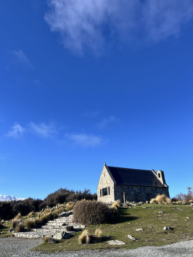 瓦納卡之樹打卡靚景🌳 瓦納卡之樹打卡靚景🌳