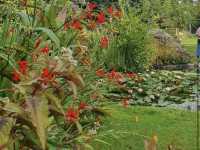 Arboretum Kalmthout