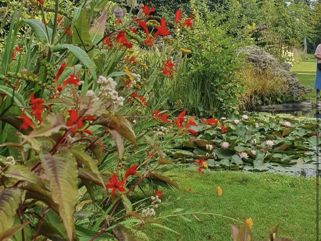 Arboretum Kalmthout