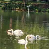 Suncheon Bay National Garden