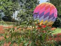 Songkhla Flower Farm