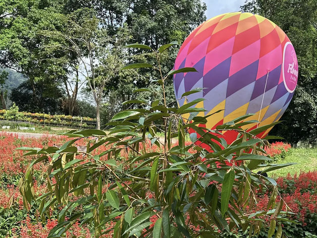 Songkhla Flower Farm