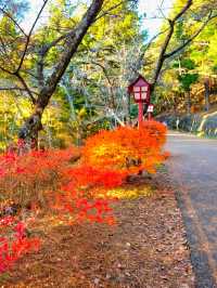 Awesome Mt. Fuji Views at Arakurayama Sengen Park, Japan