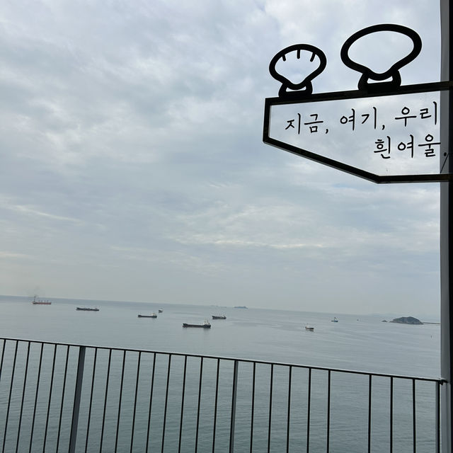 【🇰🇷：影島】山の上から見られる絶景🌊