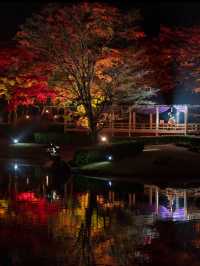 2000本の木々が色付く🍁修善寺 虹の郷🍁