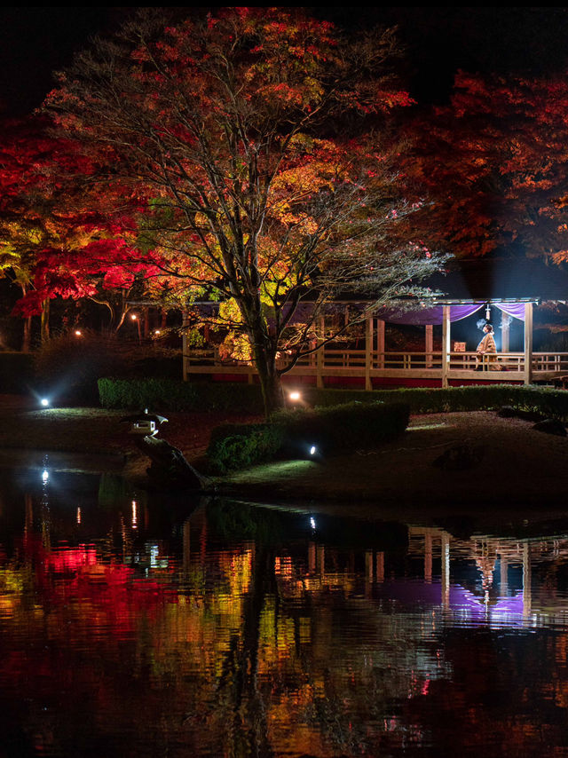 2000本の木々が色付く🍁修善寺 虹の郷🍁 2000本の木々が色付く🍁修善寺 虹の郷🍁