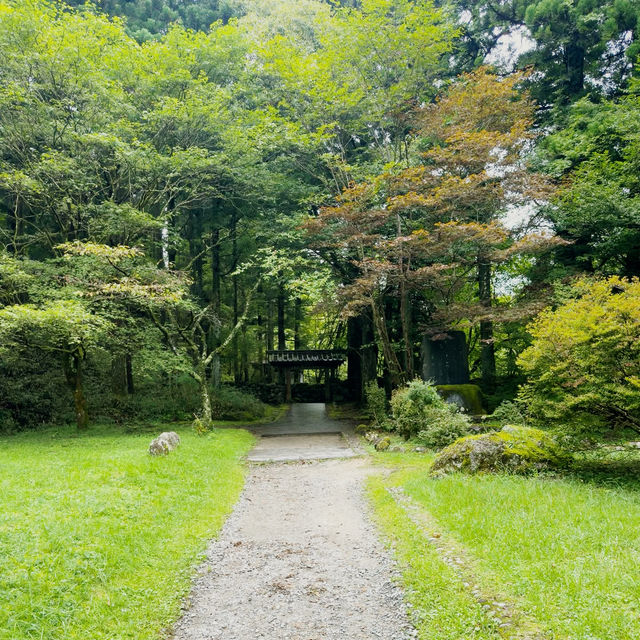 The Stone Guardians of Nikko: My Solo Walk Through Kanmangafuchi Abyss
