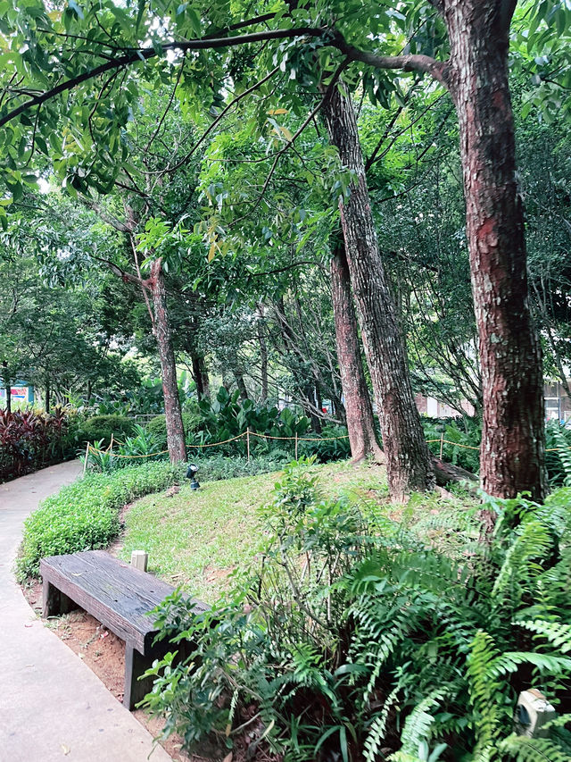 The Starling: Mall in the Park with Lush Greenery and Serene Charm