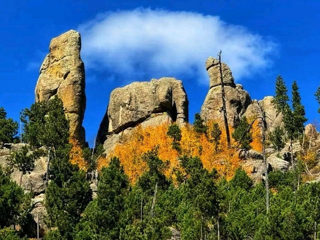 🏞️ Custer State Park – The Wild Heart of South Dakota 🏞️ Custer State Park – The Wild Heart of South Dakota