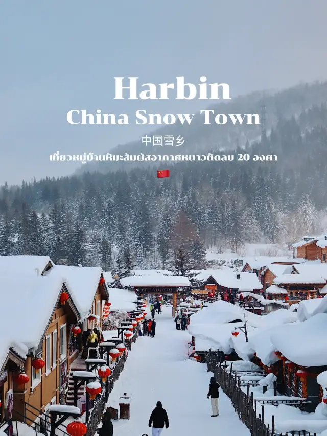 遊覽雪村，感受零下20度的寒冷天氣