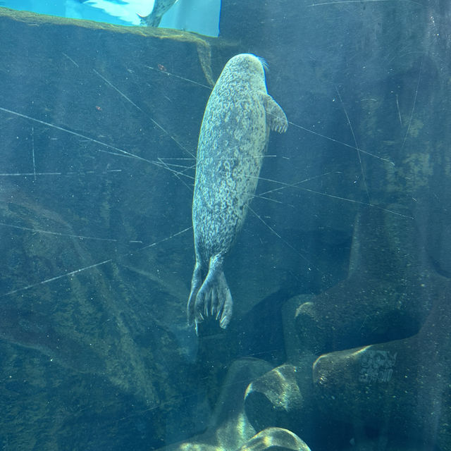 北海道旭川市旭山動物園