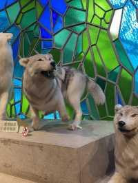 Natural History Museum ตื่นตาตื่นใจกับโลกดึกดำบรรพ์