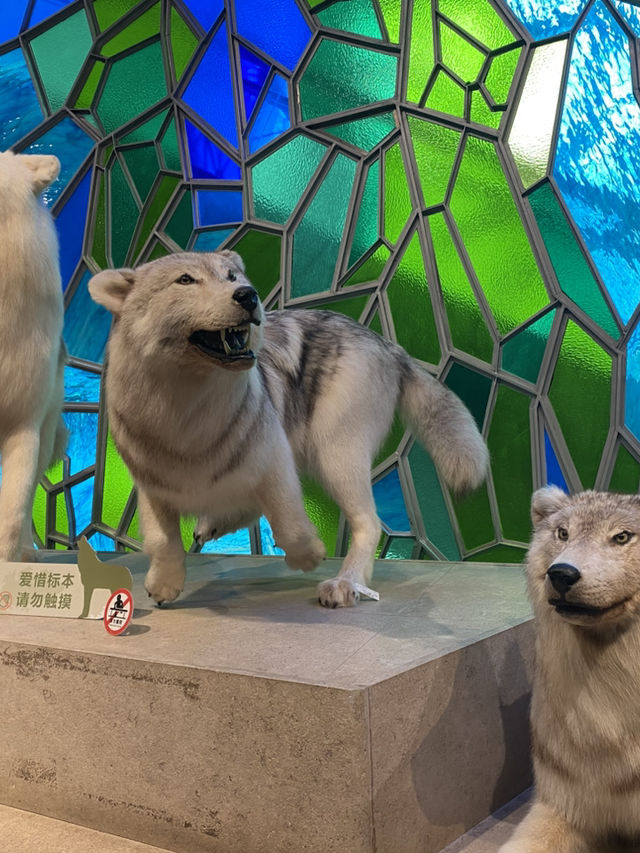 Natural History Museum ตื่นตาตื่นใจกับโลกดึกดำบรรพ์