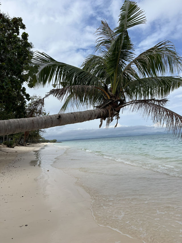 Koh Talu Splash🌴
