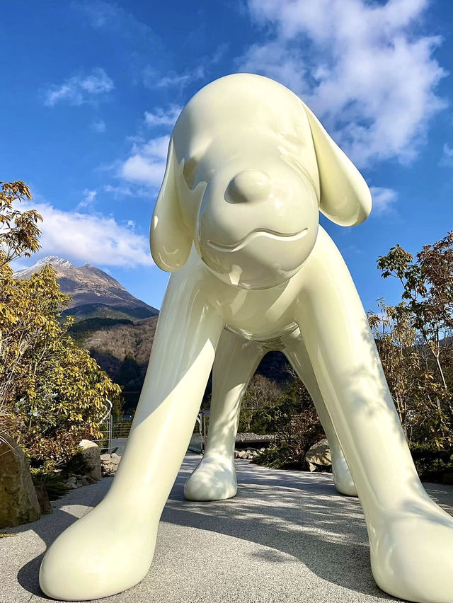 🎨 Art Meets Architecture at Comico Art Museum Yufuin