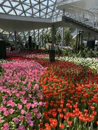 Flora Exhibition Hall💐💐
