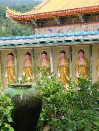 มาปีนัง อย่าลืมมาเช็คอินที่นี่! 📍วัดเต่า